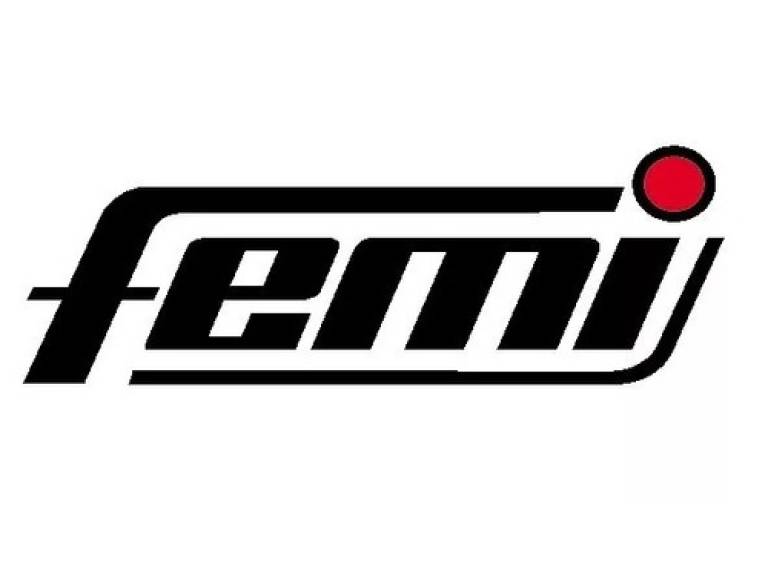 Femi